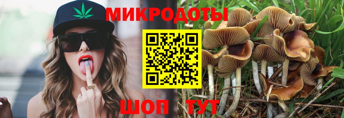 Галлюциногенные грибы MAGIC MUSHROOMS  Вход с VPN  Киреевск 