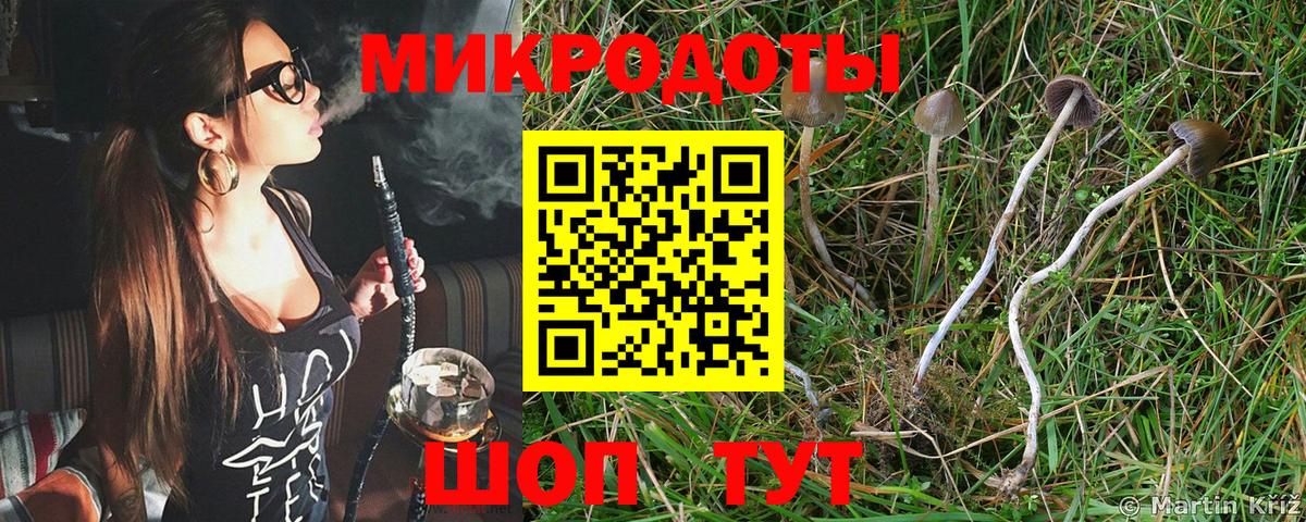 Галлюциногенные грибы мухоморы Киреевск